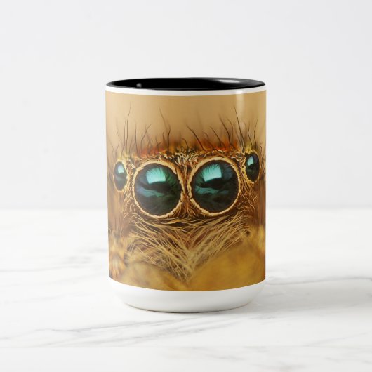 美しいくもの目 ツートーンマグカップ (中央)