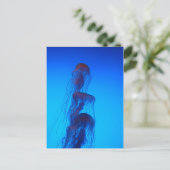 美しいくらげの郵便はがき ポストカード (スタンド正面)