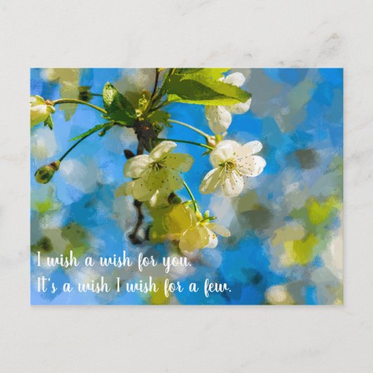 美しいさくらんぼの花 ポストカード (正面)
