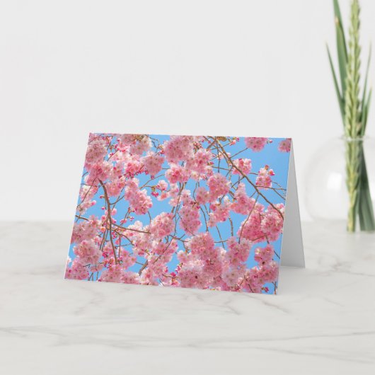 美しいさくらんぼ花咲きグリーティングカード カード (正面)