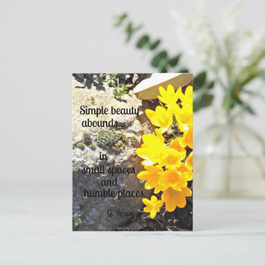 美しいすべて検索に関するのまわりに引用文。 ポストカード (スタンド正面)