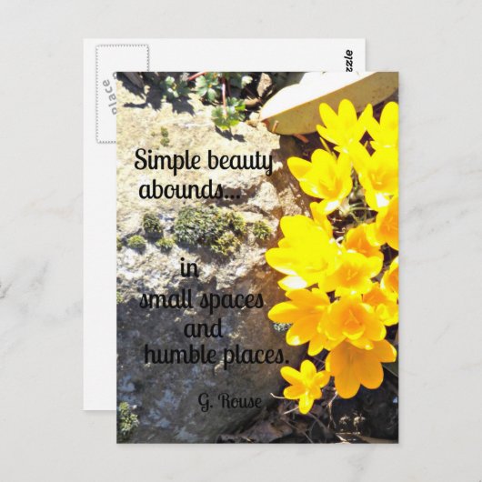 美しいすべて検索に関するのまわりに引用文。 ポストカード (正面/裏面)