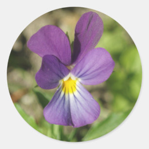 美しいすみれ色の花の写真のステッカー ラウンドシール