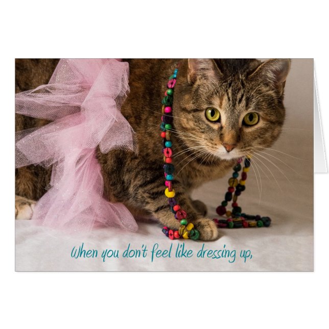 美しいちょうど方法あります (正面横)