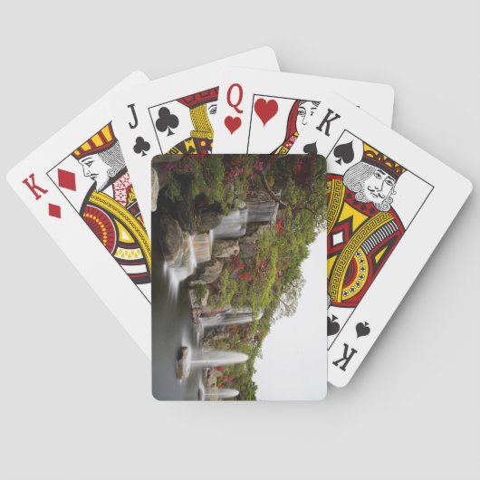 美しいつつじ滝フラワーガーデン トランプ (裏面)