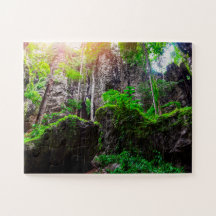 美しいつる植物の森