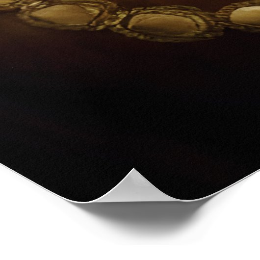 美しいとレジリエンス：アフガニスタン人女性のポートレート ポスター (角)