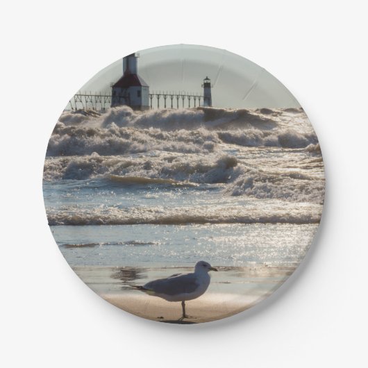 美しいと力 ペーパープレート (正面)