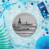 美しいと強制グレースケール ペーパープレート (パーティー)