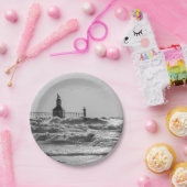 美しいと強制グレースケール ペーパープレート (パーティー)