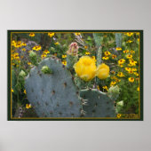 美しいと獣 ポスター (正面)