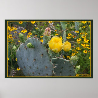 美しいと獣 ポスター