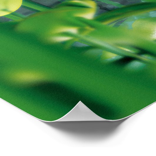 美しいと獣 ポスター (角)