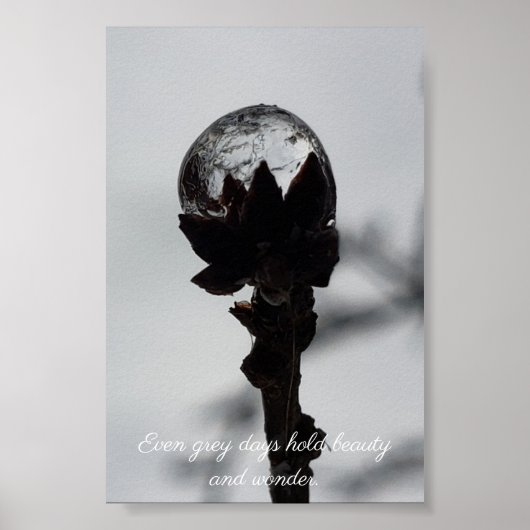 美しいと疑問に思雨凍ってい滴 ポスター (正面)