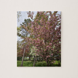 美しいと能力の表示 ジグソーパズル