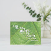 美しいどこでも自然はがき ポストカード (スタンド正面)