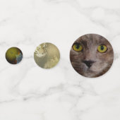 美しいに魅了される猫が蝶に魅了される コンフェッティ (正面)