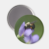 美しいのまわりに マグネット (正面/裏面)