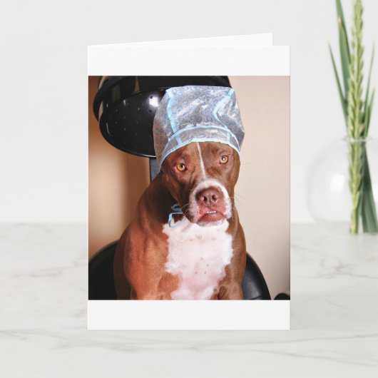 美しいのトリートメント カード (正面)