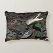 美しいのナメラ属 アクセントクッション (正面)