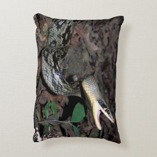 美しいのナメラ属 アクセントクッション (裏面(縦))