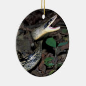 美しいのナメラ属 セラミックオーナメント (右)