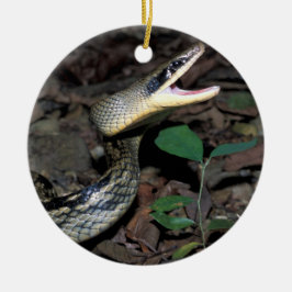 美しいのナメラ属 セラミックオーナメント