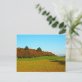 美しいの奇妙な黄金色の木 ポストカード (スタンド正面)