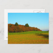 美しいの奇妙な黄金色の木 ポストカード (正面/裏面)