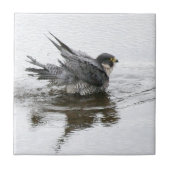 美しいの小さいセラミックタイルを浸すこと タイル (正面)