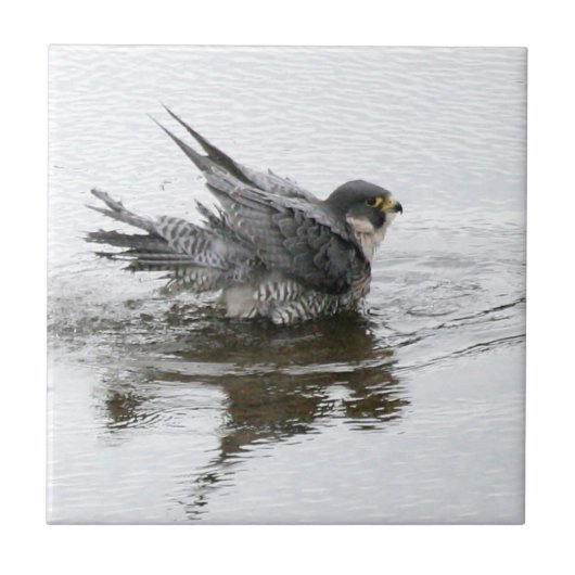 美しいの小さいセラミックタイルを浸すこと タイル (正面)