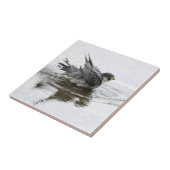 美しいの小さいセラミックタイルを浸すこと タイル (側面)