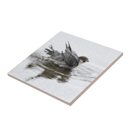 美しいの小さいセラミックタイルを浸すこと タイル (側面)