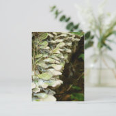 美しいの森 ポストカード (スタンド正面)