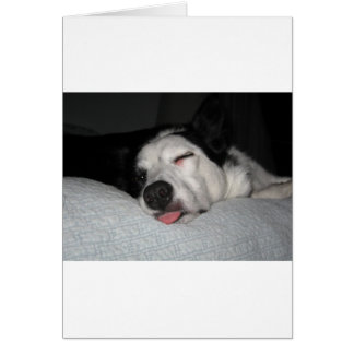 美しいの残りシリーズ