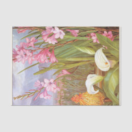 美しいの沼，南アフリカby北 薄葉紙