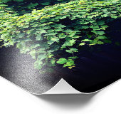 美しいの自然つる植物感動的引用文8x10 フォトプリント (角)