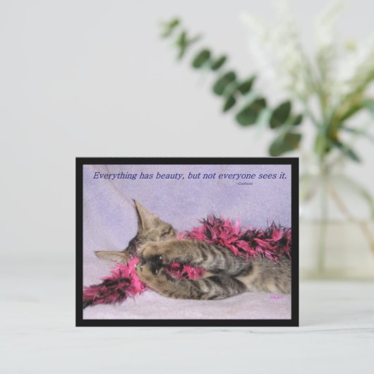 美しいはがき ポストカード (スタンド正面)