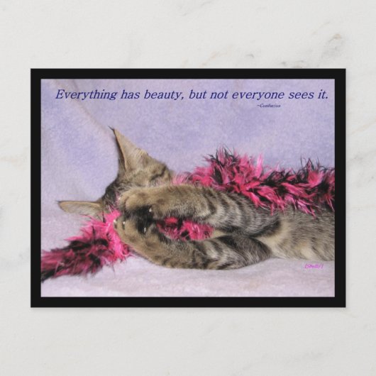 美しいはがき ポストカード (正面)