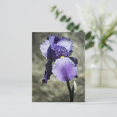 美しいはがき ポストカード (スタンド正面)