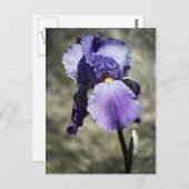 美しいはがき ポストカード (正面/裏面)