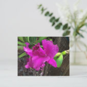 美しいはがき ポストカード (スタンド正面)