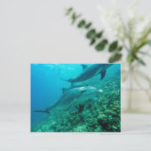 美しいはがき ポストカード (スタンド正面)