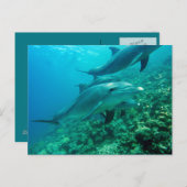 美しいはがき ポストカード (正面/裏面)