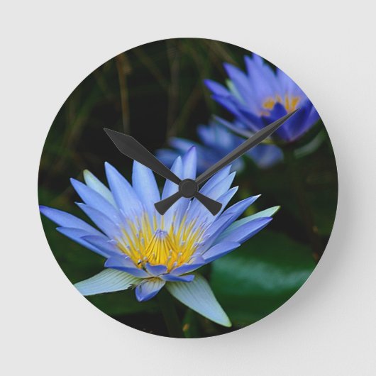 美しいはすの花および意味 ラウンド壁時計 (正面)