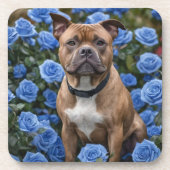 「美しいはっきりした：青いバラ・ガーデンの茶色いスタッフィー コースター (正面)