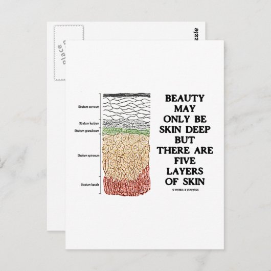 美しいは皮膚の深いかもしれないが、皮膚の5つの層 ポストカード (正面/裏面)