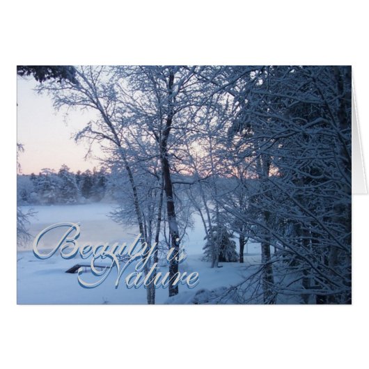 美しいは自然 (正面横)