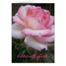 美しいばら色のEcclesiastesの3:11の聖なる書物、経典カード