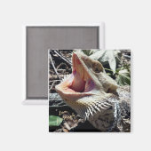 美しいひげのドラゴンリムルフ マグネット (正面/裏面)